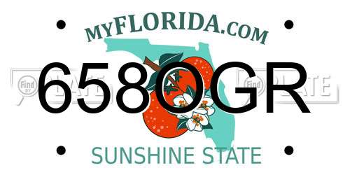 658OGR Florida License Plate