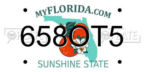 658OT5 Florida License Plate