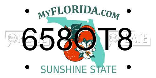 658OT8 Florida License Plate