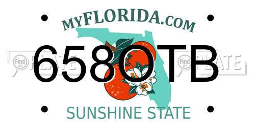 658OTB Florida License Plate