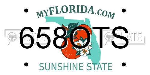 658OTS Florida License Plate
