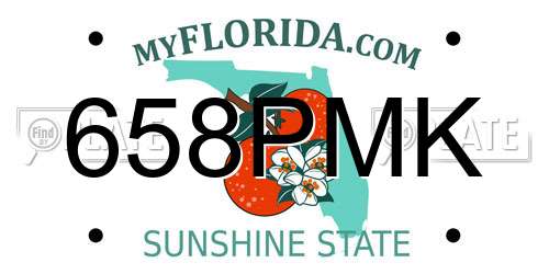 658PMK Florida License Plate