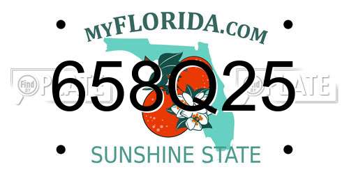 658Q25 Florida License Plate