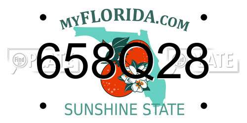658Q28 Florida License Plate
