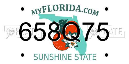 658Q75 Florida License Plate