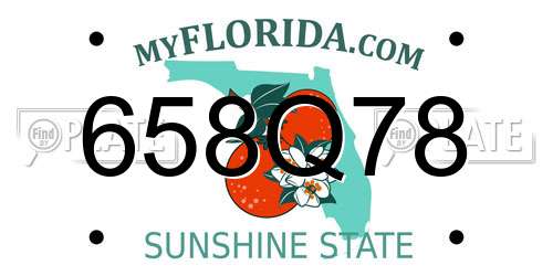 658Q78 Florida License Plate