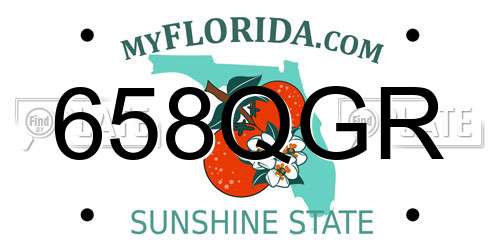 658QGR Florida License Plate