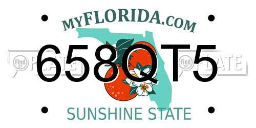 658QT5 Florida License Plate