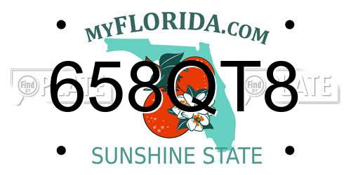 658QT8 Florida License Plate