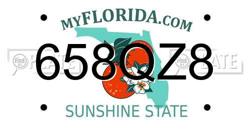 658QZ8 Florida License Plate