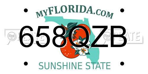 658QZB Florida License Plate