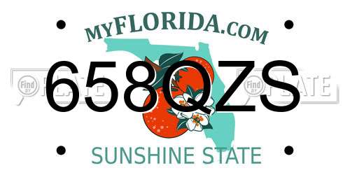 658QZS Florida License Plate