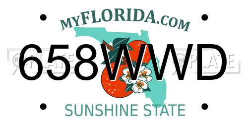 658WWD Florida License Plate