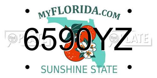 6590YZ Florida License Plate