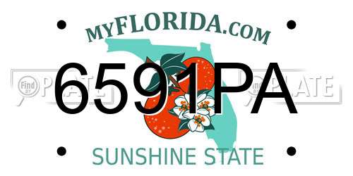 6591PA Florida License Plate