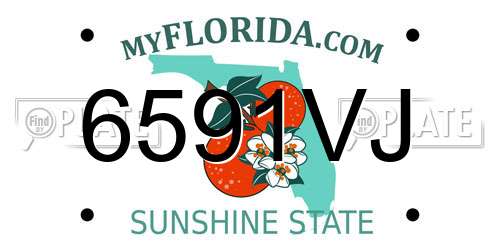 6591VJ Florida License Plate