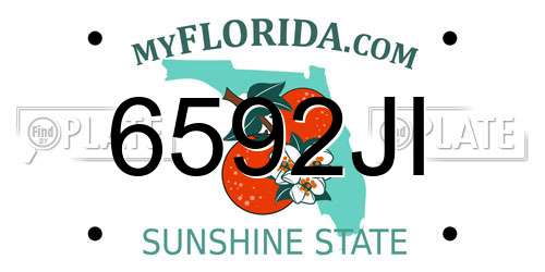 6592JI Florida License Plate