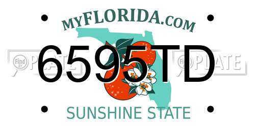 6595TD Florida License Plate