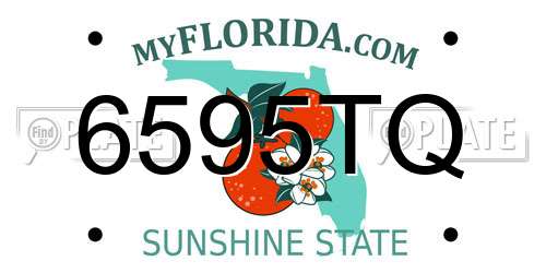 6595TQ Florida License Plate