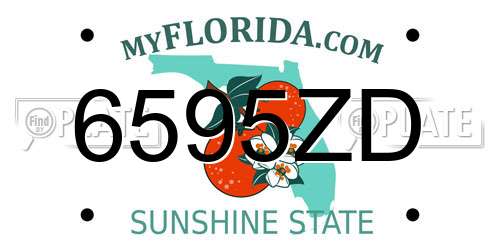6595ZD Florida License Plate