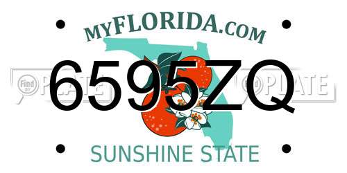 6595ZQ Florida License Plate