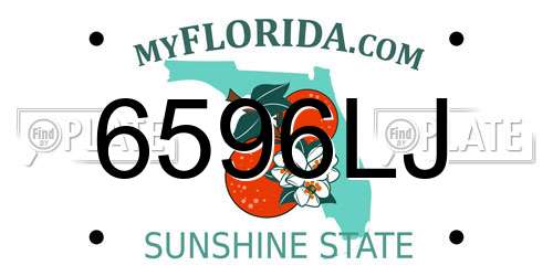 6596LJ Florida License Plate