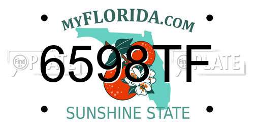 6598TF Florida License Plate