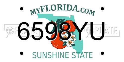 6598YU Florida License Plate