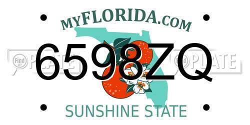 6598ZQ Florida License Plate