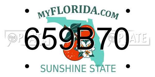659B70 Florida License Plate