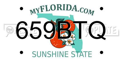 659BTQ Florida License Plate
