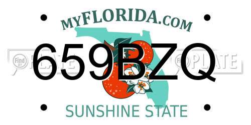 659BZQ Florida License Plate