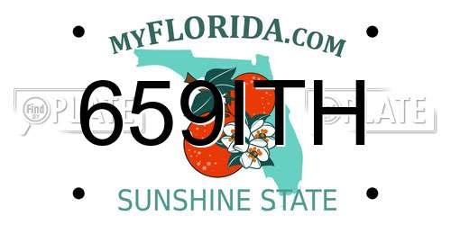 659ITH Florida License Plate