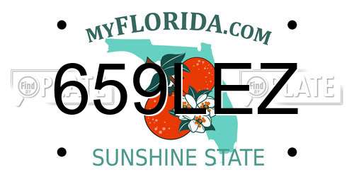 659LEZ Florida License Plate