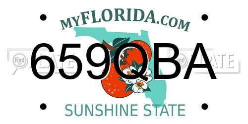 659QBA Florida License Plate