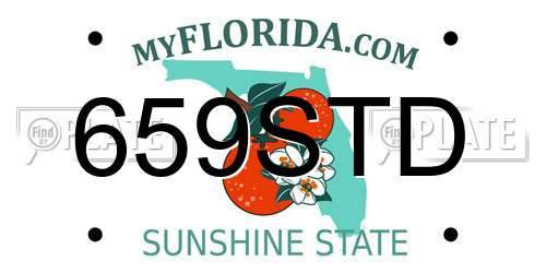 659STD Florida License Plate