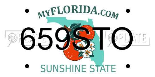 659STO Florida License Plate