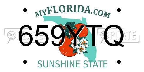659YTQ Florida License Plate