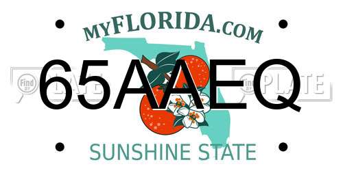 65AAEQ Florida License Plate
