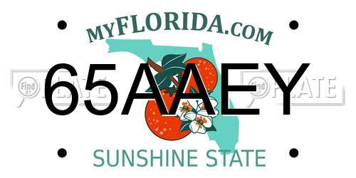 65AAEY Florida License Plate