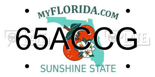 65ACCG Florida License Plate