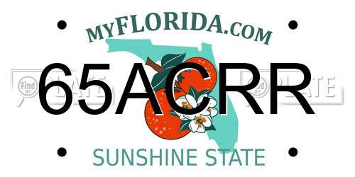 65ACRR Florida License Plate