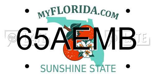 65AEMB Florida License Plate