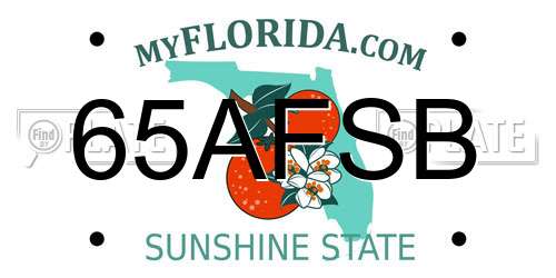 65AFSB Florida License Plate