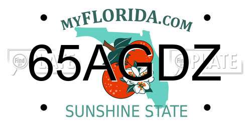 65AGDZ Florida License Plate