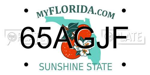 65AGJF Florida License Plate