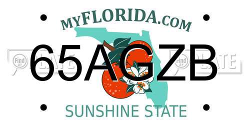 65AGZB Florida License Plate