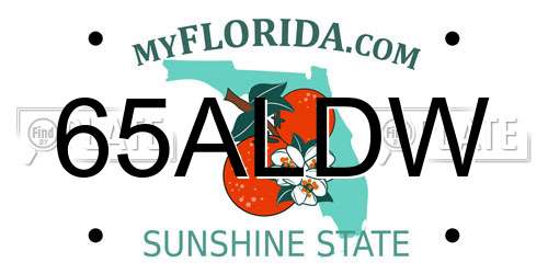 65ALDW Florida License Plate