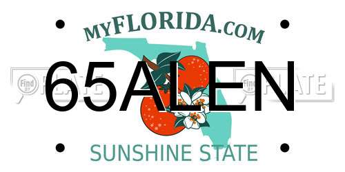 65ALEN Florida License Plate