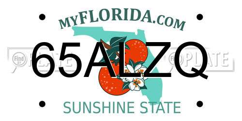 65ALZQ Florida License Plate